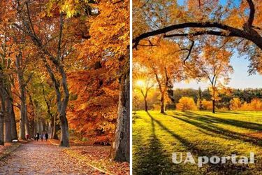 Тепло та сухо: прогноз погоди в Україні на 23 вересня