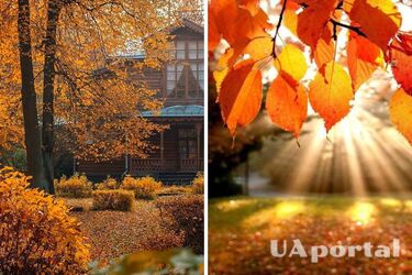 Україну чекає різке похолодання: прогноз погоди на 24 вересня