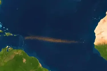 Екологи б’ють на сполох: в Атлантиці з’явилася 'коричнева стрічка' довжиною в континент