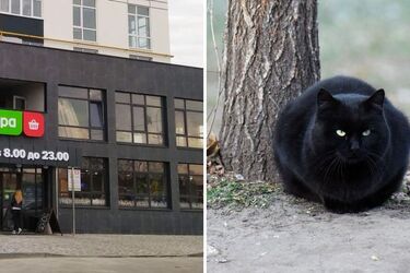 Как магазин 'Фора' покрывает убийц: они считают нас всех идиотами?