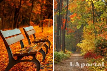 Сухо и солнечно: прогноз погоды в Украине на 26 сентября