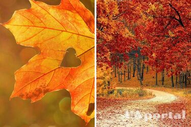 Сухо та прохолодно, подекуди заморозки: погода в Україні на 27 вересня