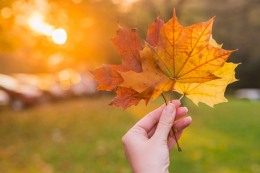 Чекати потепління чи готуватися до тривалого холоду в Україні: прогноз погоди від Діденко