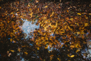 Непогода надвигается: в каких регионах Украины ждать дождей и даже мокрого снега