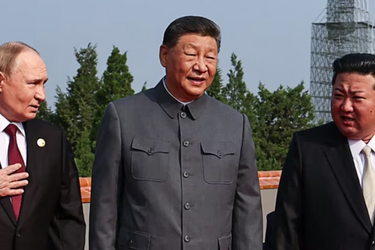 Ці тварюки збираються жити щонайменше до ста п'ятдесяти років