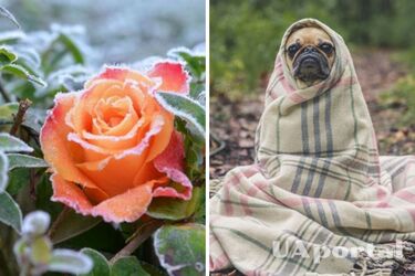 На Україну насувається різке похолодання: прогноз погоди на 1 жовтня