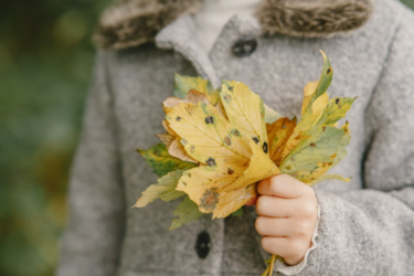 Октябрьский прогноз погоды: когда порадует бабье лето и когда будет первый снег