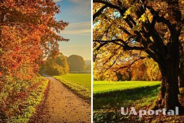 Ожидается малооблачная погода без осадков: прогноз на 5 сентября