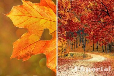 Преобладает теплая погода: прогноз погоды в Украине на выходные