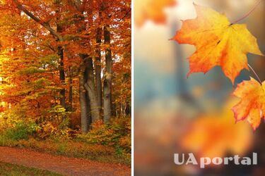 Тепло, але дощитиме: прогноз погоди в Україні на 9 вересня