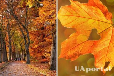 На частині території України очікуються дощі: прогноз погоди на 10 вересня