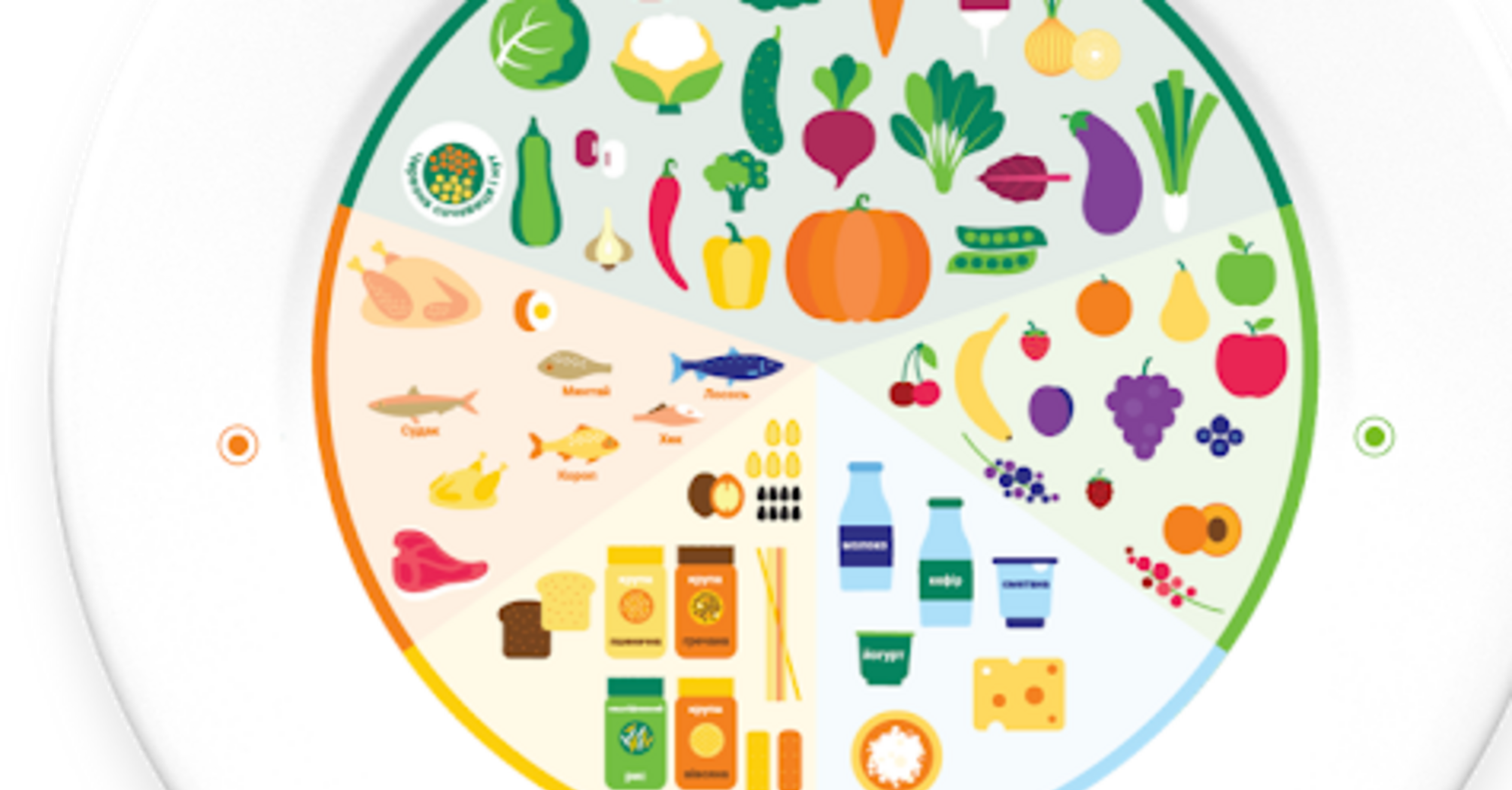 Правило гарвардської тарілки: комбінація продуктів нашвидкоруч