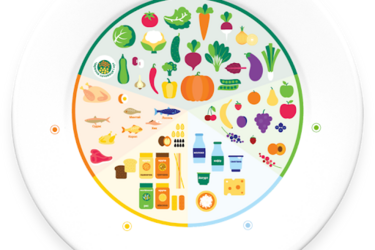 Правило гарвардской тарелки: комбинация продуктов на скорую руку