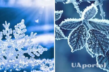 Мороз до 19 градусов и снегопады: где в Украине будет холоднее всего в первые дни нового года