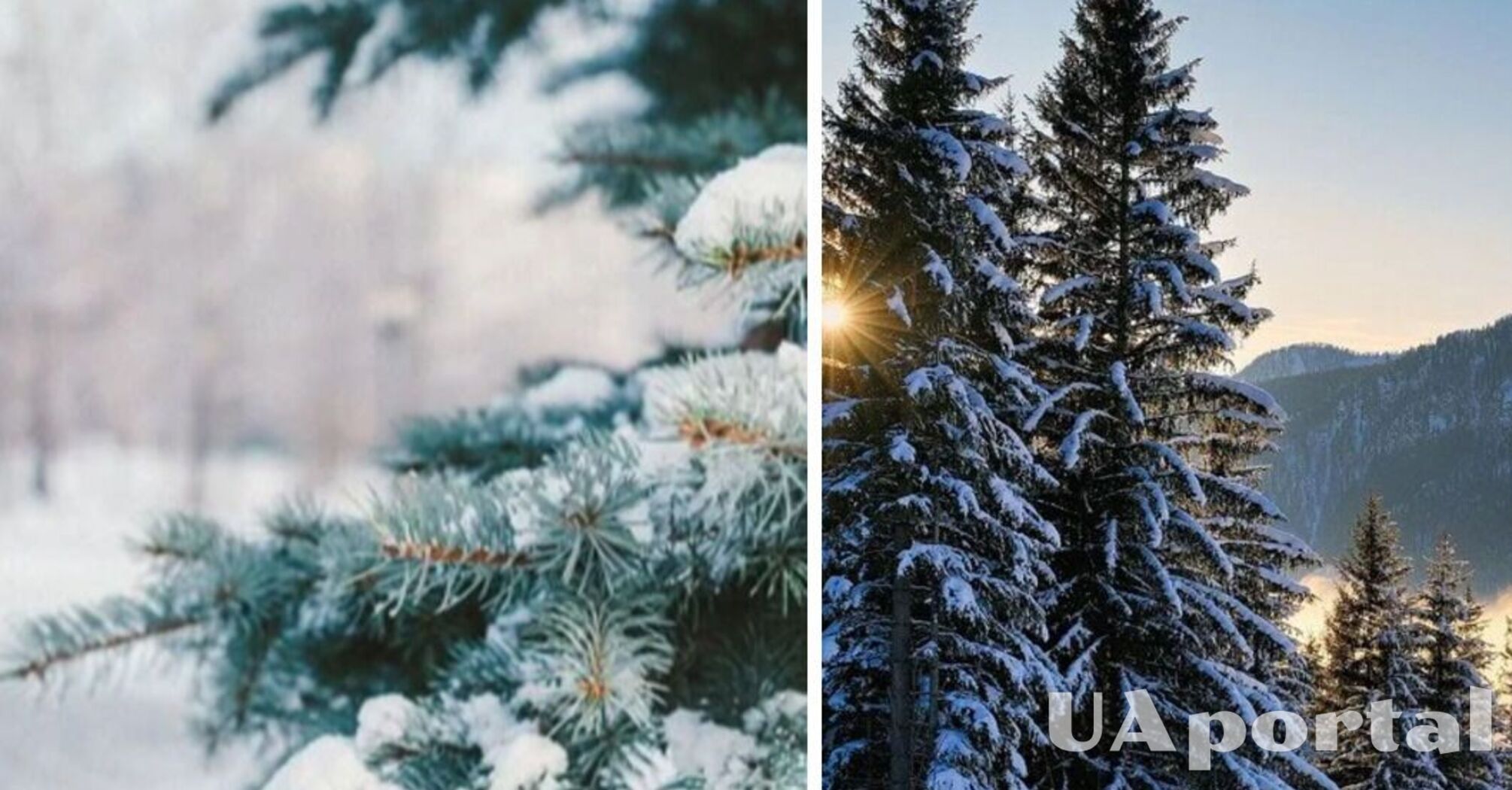 До 24 градусів морозу: де в Україні буде найхолодніше цього тижня  