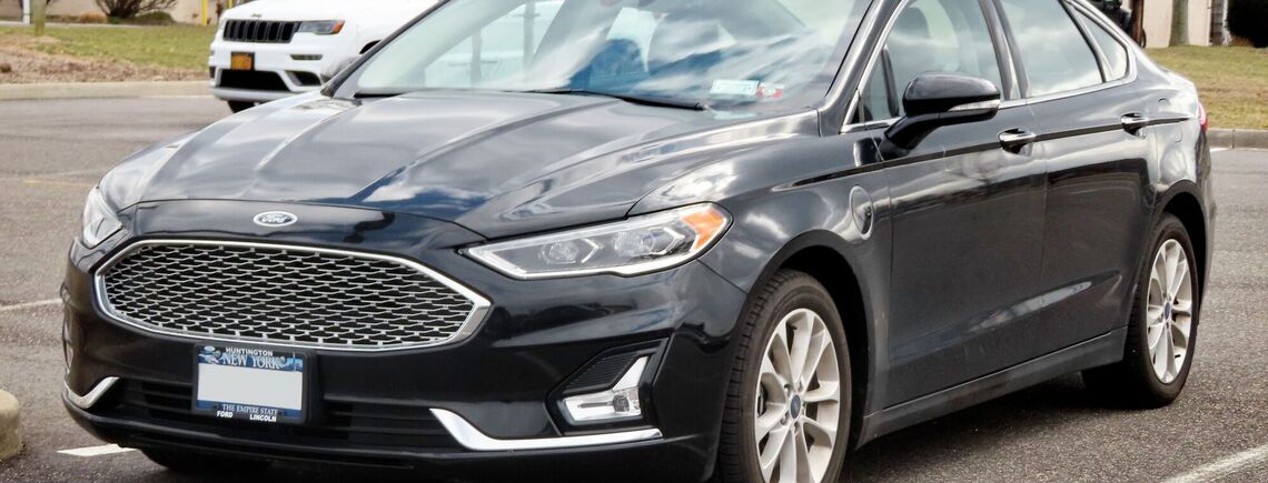 Які гібриди найпопулярніші в Україні: названо топ моделей