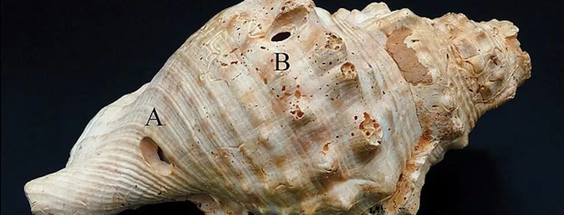 Люди использовали 'рации' 6 тысяч лет назад: ученые нашли доказательства (фото)