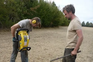 На территории Германии обнаружили массовое захоронение 14 века: чем уникален (фото)