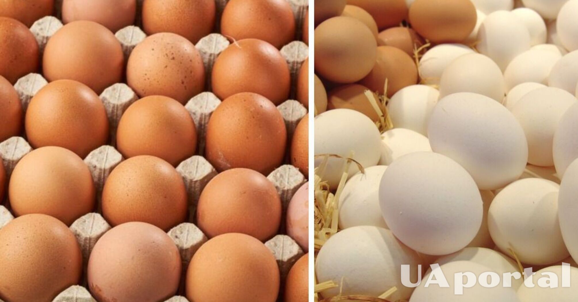 В Украине продолжает дорожать популярный продукт: какая цена