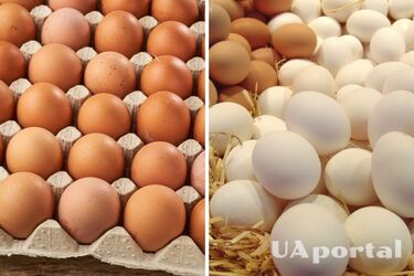 В Україні продовжує дорожчати популярний продукт: яка ціна