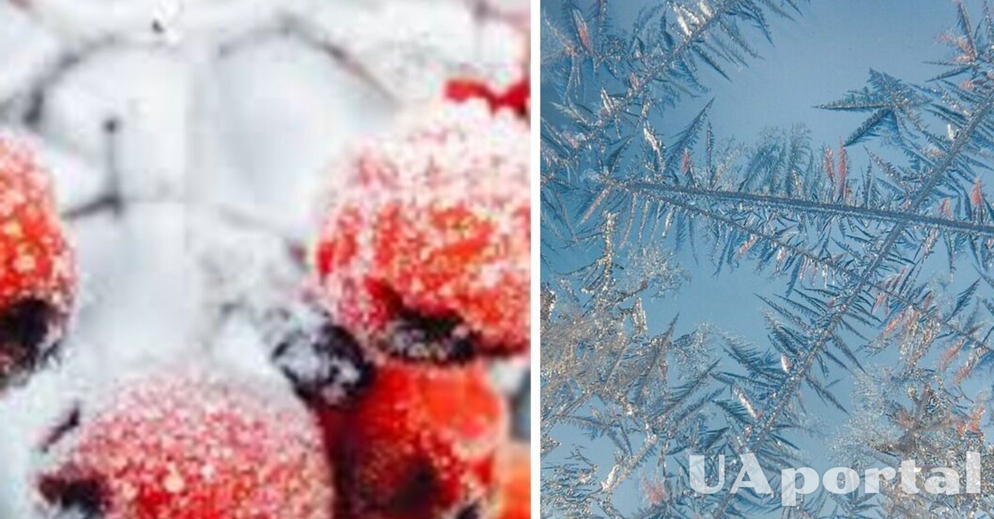 В Украине идет потепление: когда уменьшатся морозы