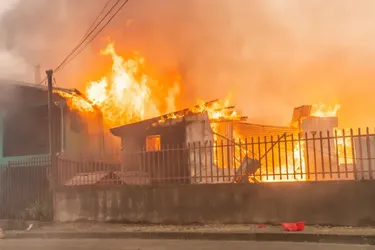 В Чили бушуют масштабные лесные пожары: погибли по меньшей мере 15 человек (фото)