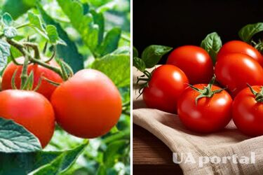 В Украине выросли цены на популярный овощ: сколько стоит