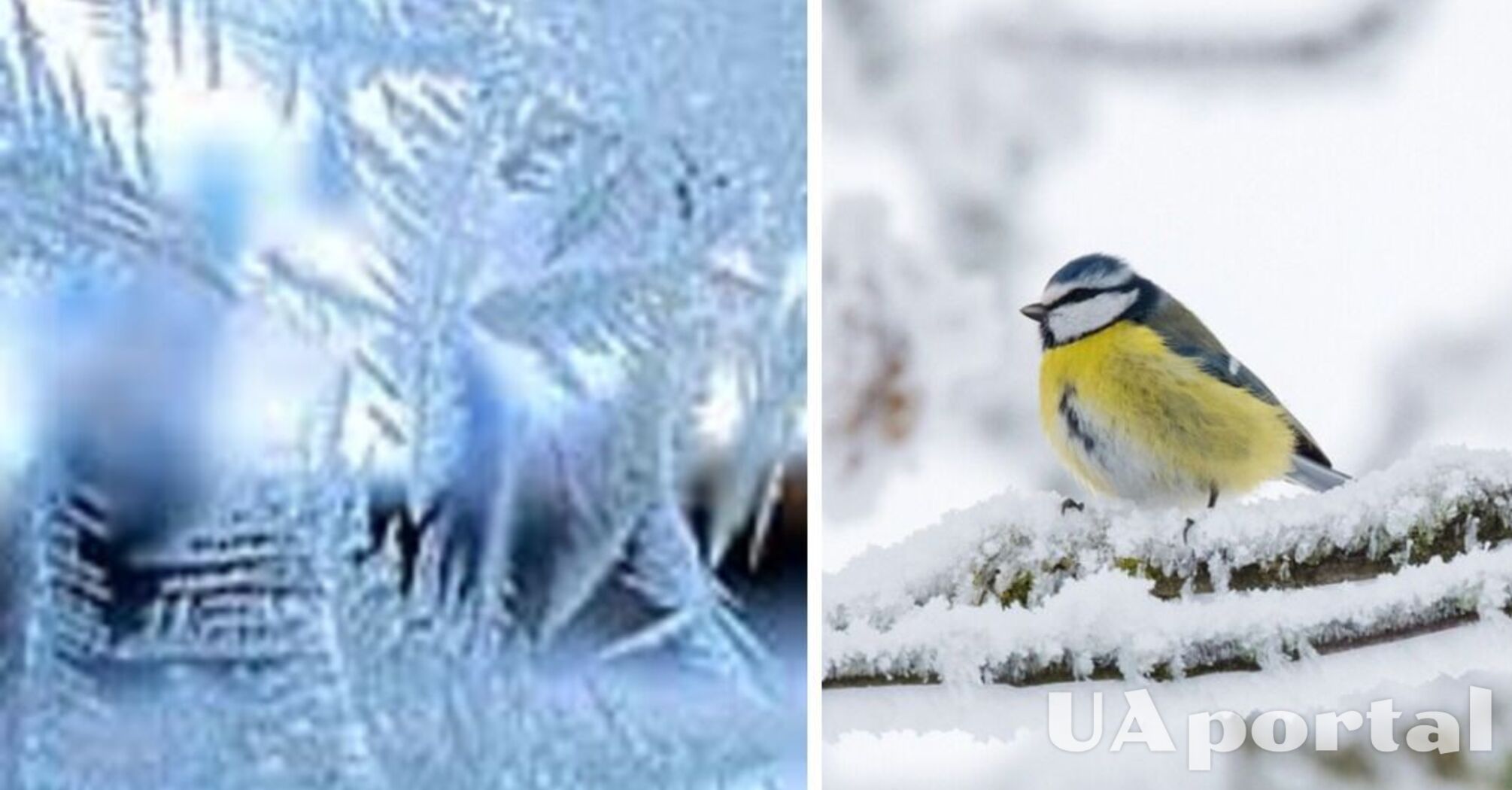 Очікується до 22 градусів морозу: прогноз погоди в Україні на 20 січня