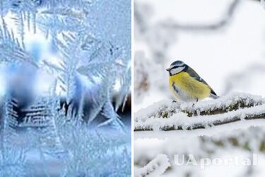 Ожидается до 22 градусов мороза: прогноз погоды в Украине на 20 января