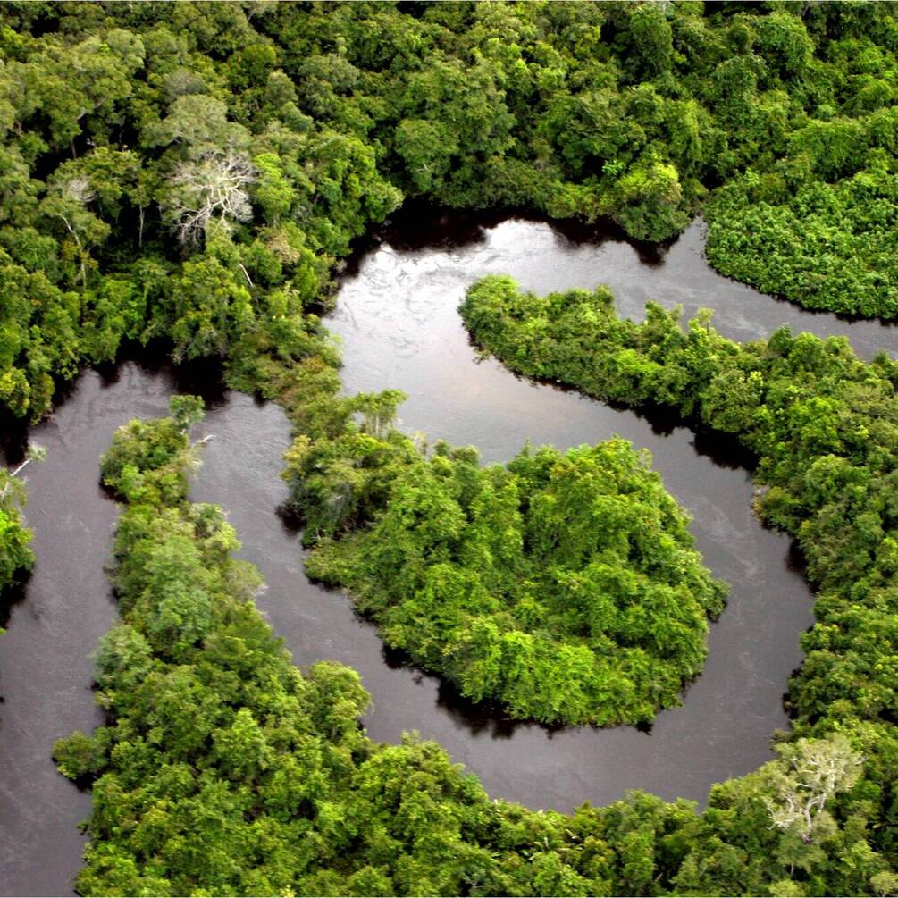 Такого не происходило десятки миллионов лет: ученые заметили в Амазонии новые изменения климата (фото)