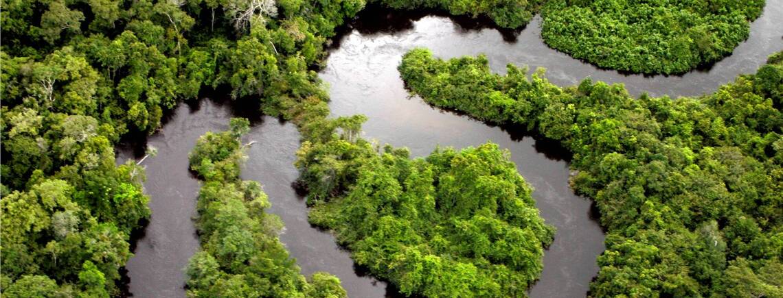 Такого не відбувалось вже десятки мільйонів років: вчені помітили в Амазонії нові зміни клімату (фото)