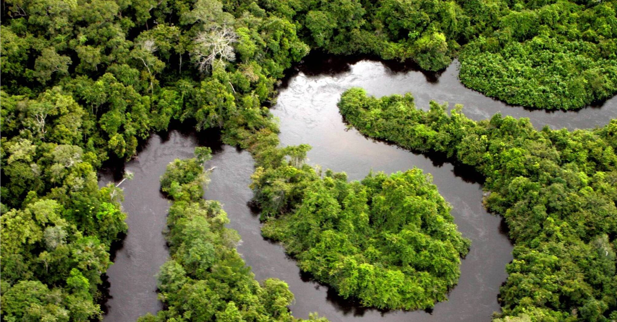 Такого не происходило десятки миллионов лет: ученые заметили в Амазонии новые изменения климата (фото)