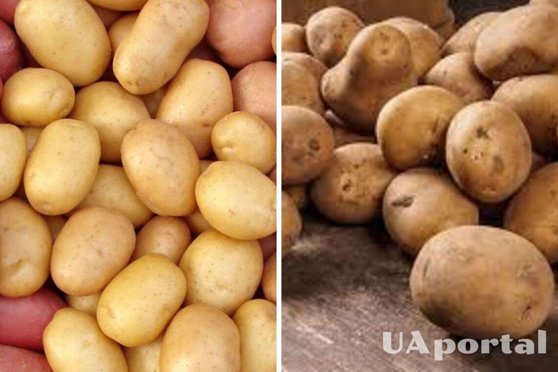 В Україні подорожчав популярний овоч: яка ціна за кілограм