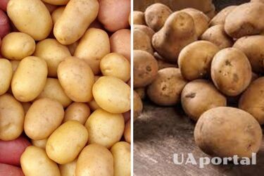 В Украине подорожал популярный овощ: какая цена за килограмм