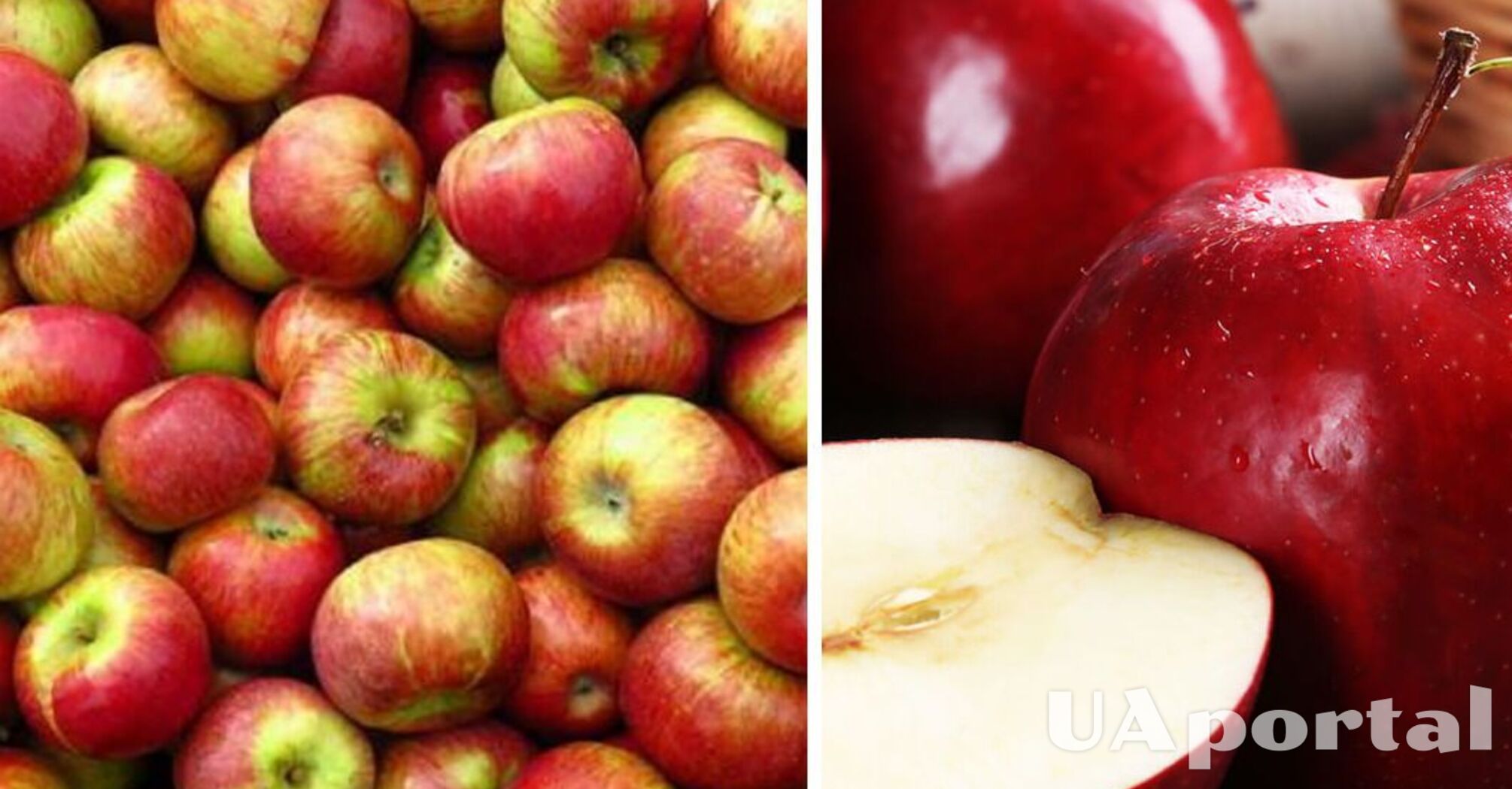 В Україні суттєво подорожчає популярний фрукт: якою буде вартість   