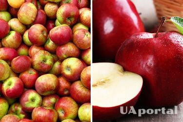 В Україні суттєво подорожчає популярний фрукт: якою буде вартість