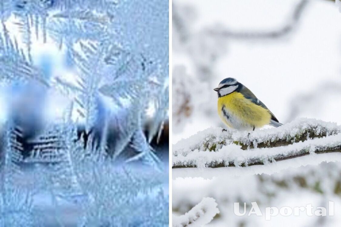 Сонячно та до 23 градусів морозу: прогноз погоди в Україні на 21 січня