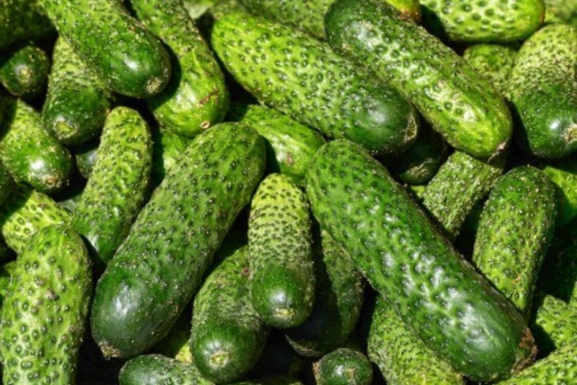 Найбільш слабке місце російського інфляційного кошику