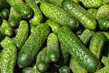 Наиболее слабое место российской инфляционной корзины