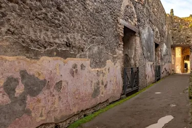 Признания в любви и уникальные граффити: в Помеях обнаружили новые изображения и надписи на стенах (фото)