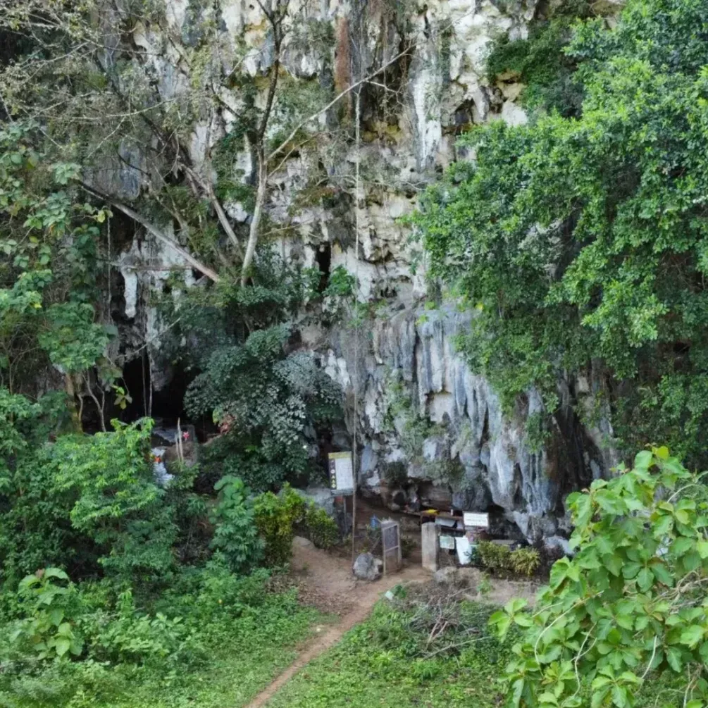 В Индонезии нашли трафаретные рисунки 70 тысяч лет: самые древние в мире (фото)