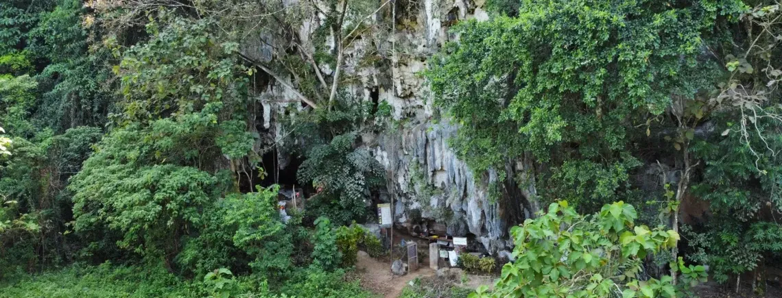 В Индонезии нашли трафаретные рисунки 70 тысяч лет: самые древние в мире (фото)