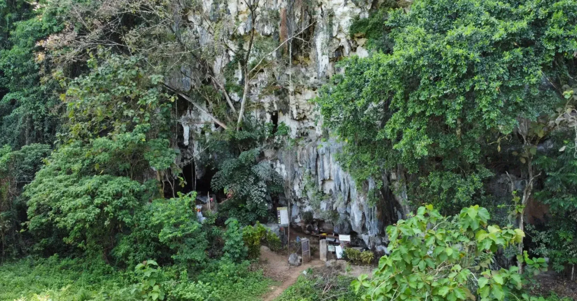 В Индонезии нашли трафаретные рисунки 70 тысяч лет: самые древние в мире (фото)