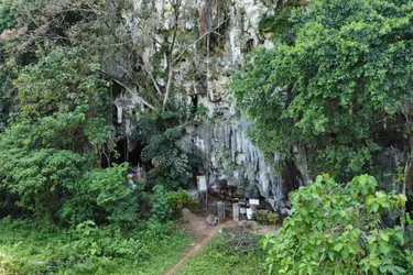 В Індонезії знайшли трафаретні малюнки віком 70 тисяч років: найдавніші у світі (фото)