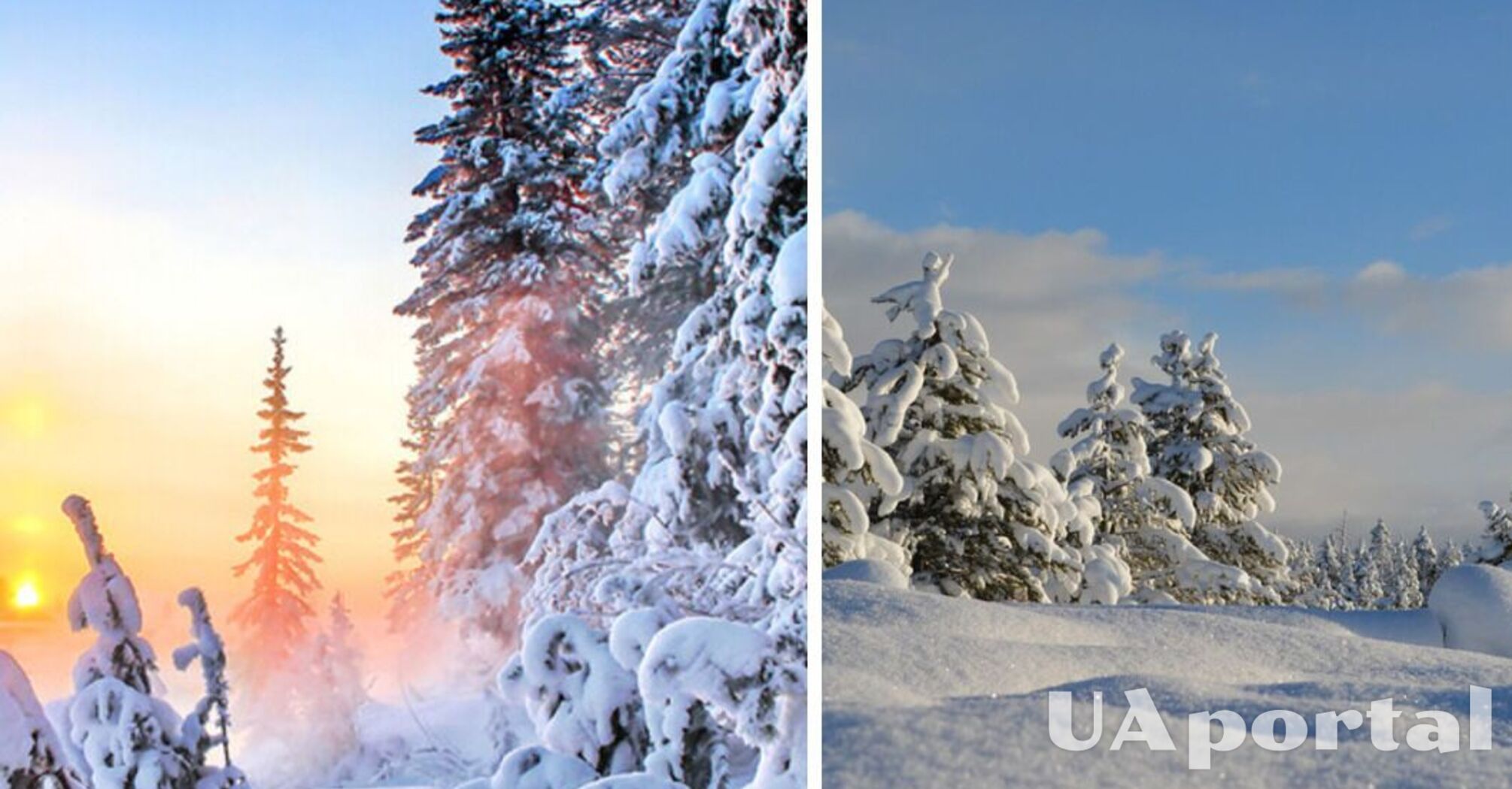 Мокрый снег и до 9 градусов тепла: прогноз погоды в Украине на 28 января