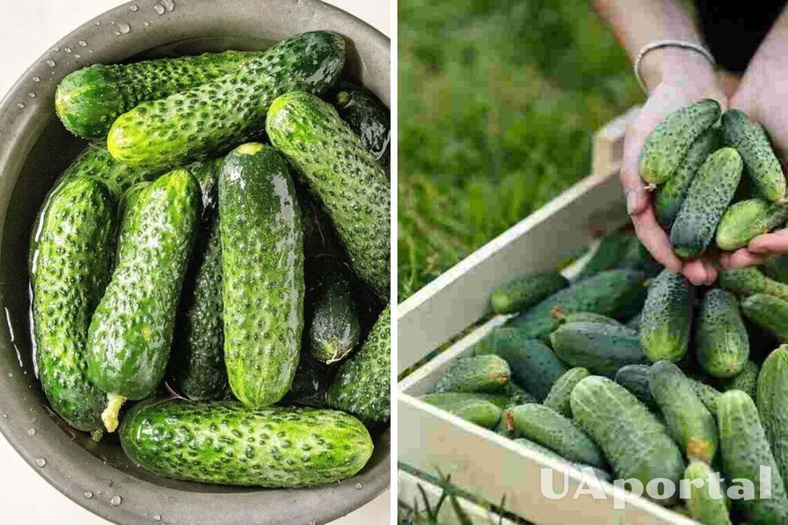 В Україні дорожчає популярний овоч: скільки коштує