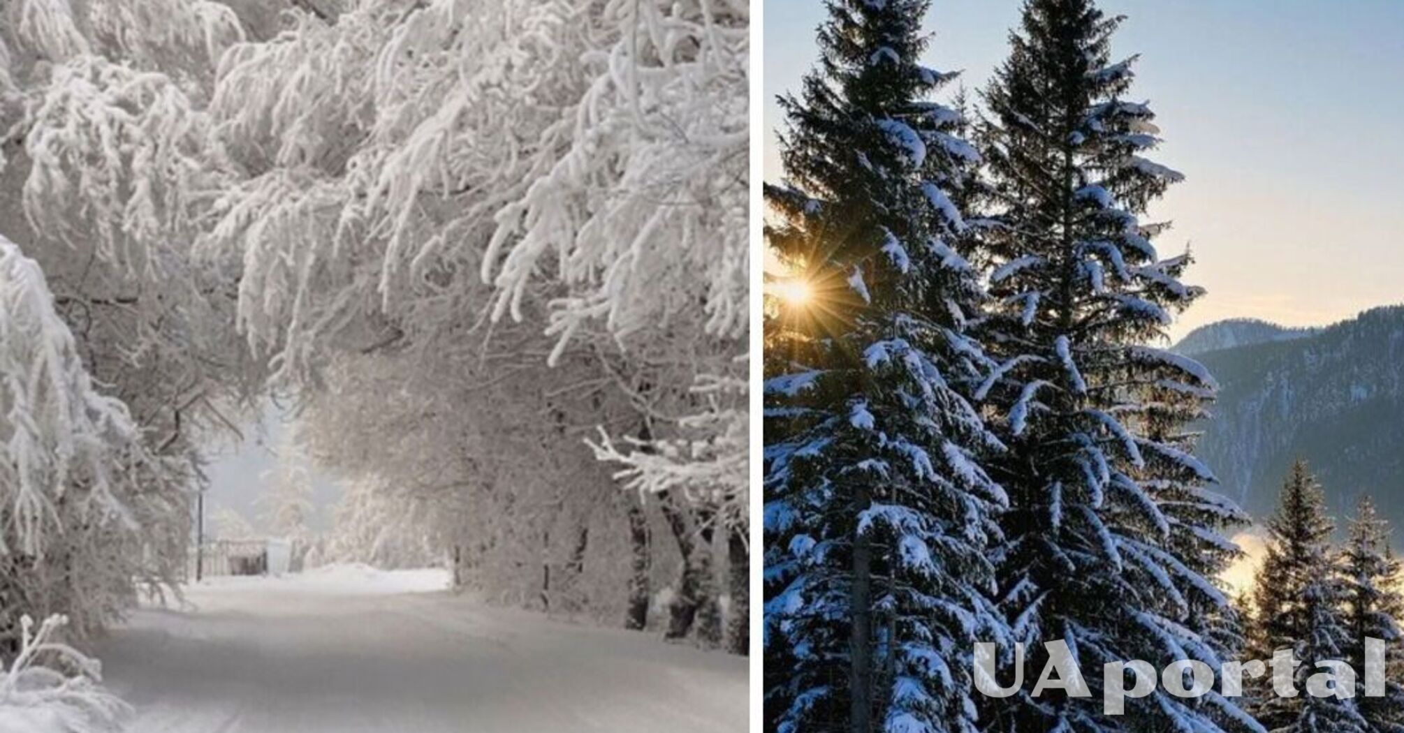 До 27 градусів: коли очікується пік морозів в Україні та де буде найхолодніше   