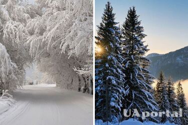 До 27 градусів: коли очікується пік морозів в Україні та де буде найхолодніше