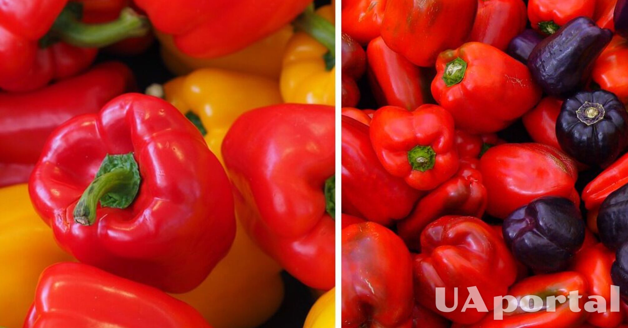 В Украине подешевел популярный продукт: какая цена за килограмм