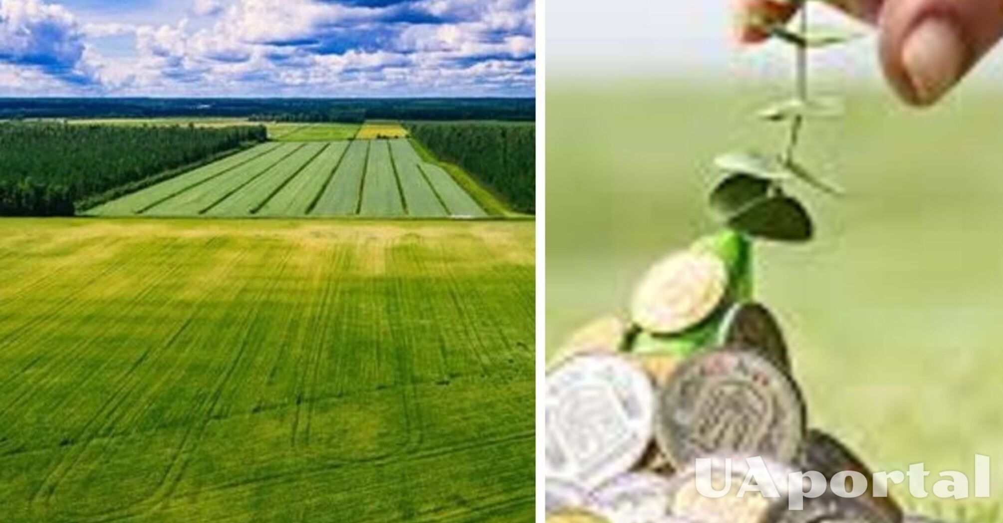 Пенсионеров освободили от уплаты одного из налогов: о чем идет речь